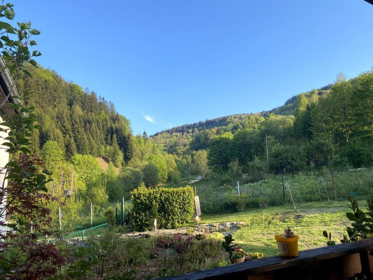 Dom Supelek Bed & Breakfast Duszniki Zdrój Dış mekan fotoğraf