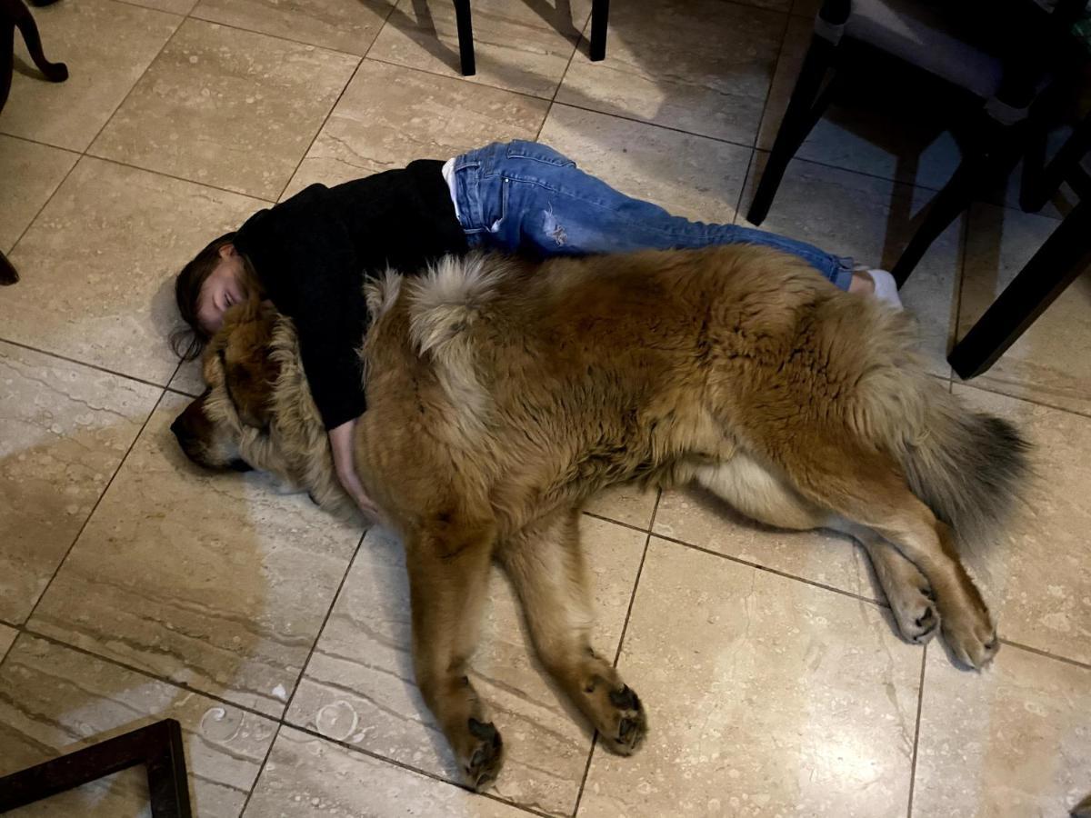 Dom Supelek Bed & Breakfast Duszniki Zdrój Dış mekan fotoğraf