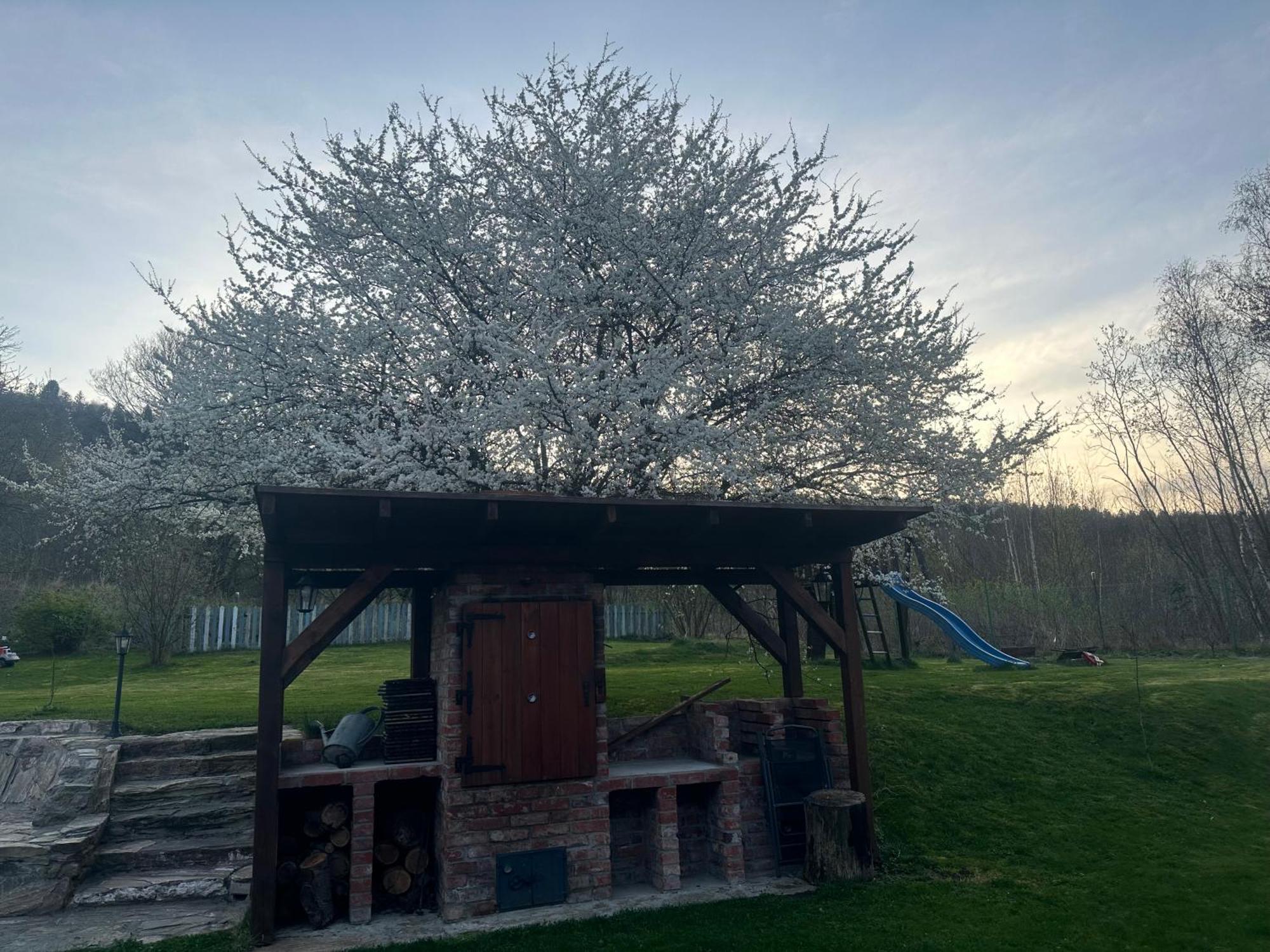 Dom Supelek Bed & Breakfast Duszniki Zdrój Dış mekan fotoğraf